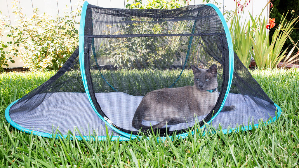 The Cat House Outdoor Pet Enclosure